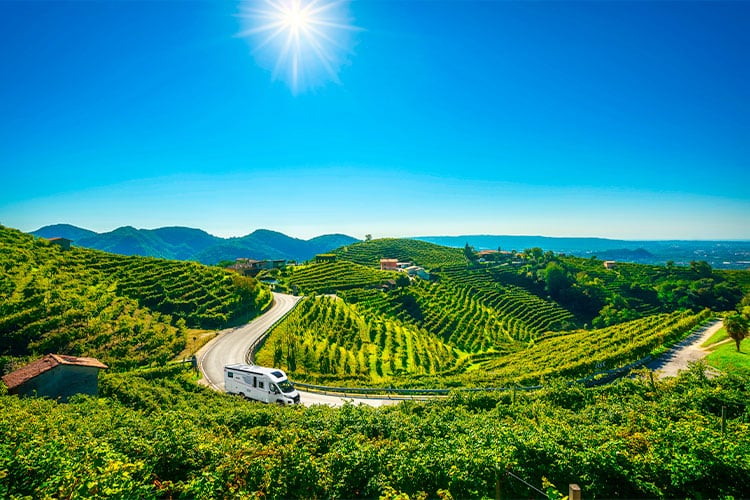 camping-car profilé Pilote roulant sur une route entouré de vignes